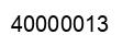 Número 40000013 imagen negro
