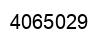 Number 4065029 black image