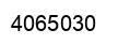Number 4065030 black image