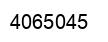 Number 4065045 black image