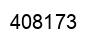 Number 408173 black image