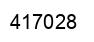 Number 417028 black image