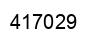 Number 417029 black image