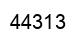 Número 44313 imagen negro