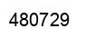 Number 480729 black image