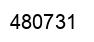 Number 480731 black image