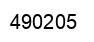 Number 490205 black image