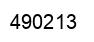 Number 490213 black image