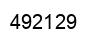 Number 492129 black image