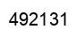 Number 492131 black image