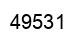 Número 49531 imagen negro
