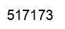 Número 517173 imagen negro