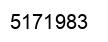 Number 5171983 black image