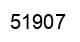Number 51907 black image