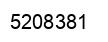 Number 5208381 black image