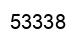 Number 53338 black image