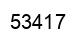 Número 53417 imagen negro