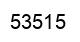 Número 53515 imagen negro