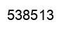 Number 538513 black image