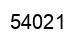 Número 54021 imagen negro