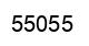 Número 55055 imagen negro