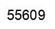 Número 55609 imagen negro