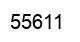 Number 55611 black image