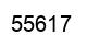 Number 55617 black image