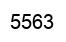Número 5563 imagen negro