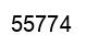 Número 55774 imagen negro