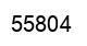 Number 55804 black image