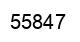Número 55847 imagen negro