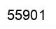 Number 55901 black image