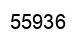 Número 55936 imagen negro