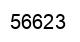 Número 56623 imagen negro