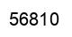 Número 56810 imagen negro