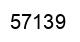 Número 57139 imagen negro