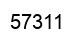 Number 57311 black image
