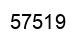 Number 57519 black image