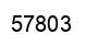 Número 57803 imagen negro