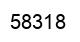 Number 58318 black image