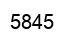Number 5845 black image