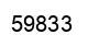 Número 59833 imagen negro