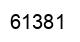 Number 61381 black image