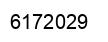 Number 6172029 black image