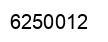 Number 6250012 black image