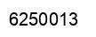 Number 6250013 black image