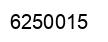 Number 6250015 black image