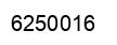 Number 6250016 black image