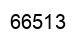 Número 66513 imagen negro